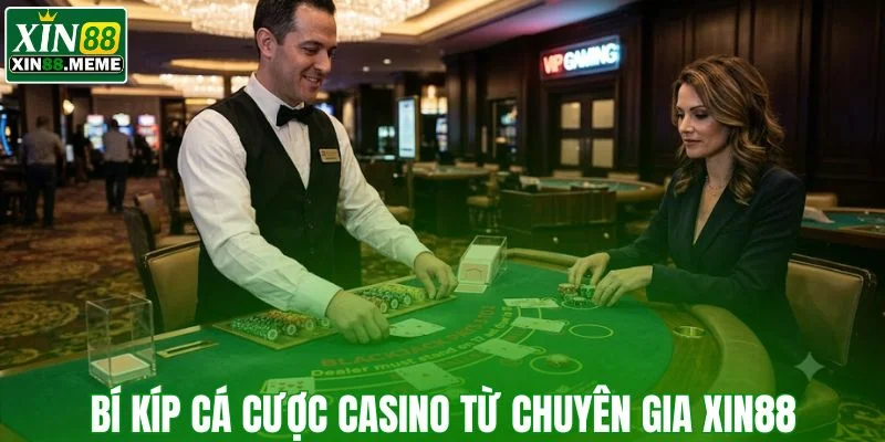 Bí kíp cá cược casino từ chuyên gia XIN88