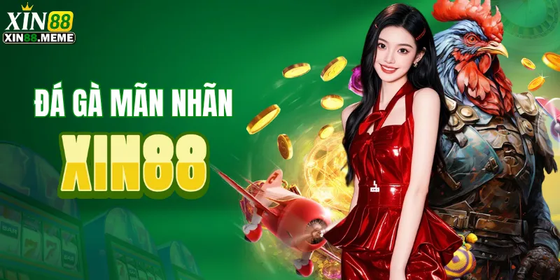 Đa dạng sảnh cược đá gà uy tín hàng đầu