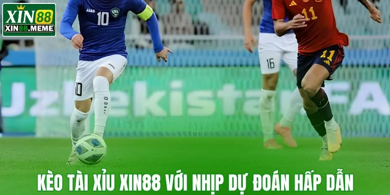 Kèo tỷ số dành cho dự đoán chuẩn từng bàn