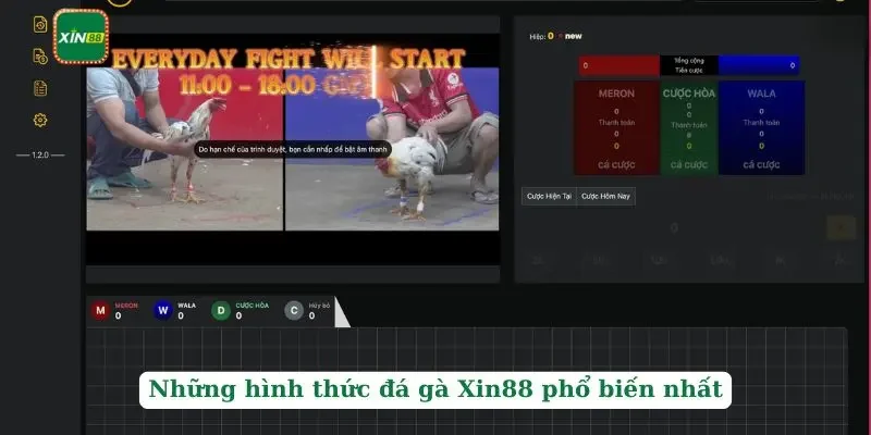 Đá Gà Xin88 3 Những hình thức đá gà Xin88 phổ biến nhất