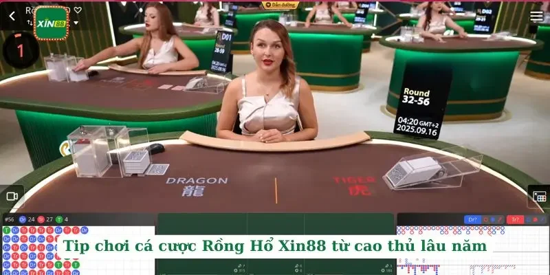 Rồng Hổ Xin88 - Tip Cá Cược Hiệu Quả Từ Các Cao Thủ Lâu Năm 4 Tip chơi cá cược Rồng Hổ Xin88 từ cao thủ lâu năm