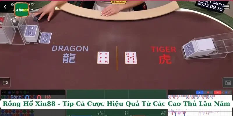 Rồng Hổ Xin88 - Tip Cá Cược Hiệu Quả Từ Các Cao Thủ Lâu Năm