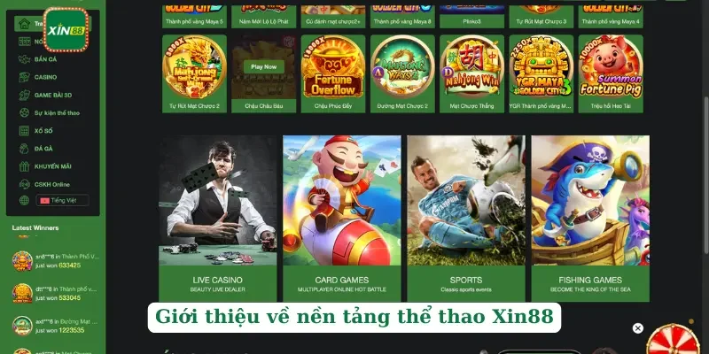 Thể thao Xin88 1 Giới thiệu về nền tảng thể thao Xin88