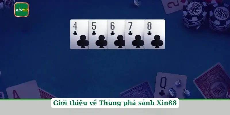 Thùng Phá Sảnh Xin88 - Bộ Bài Quyền Lực Nhất Hiện Nay 2 Giới thiệu về Thùng phá sảnh Xin88