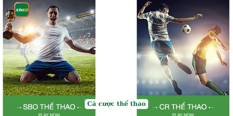 Xin88 185 Cá cược thể thao