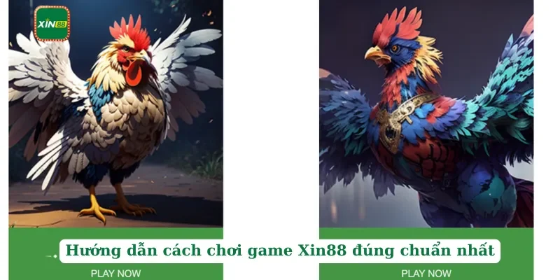 Xin88 187 Hướng dẫn cách chơi game Xin88 đúng chuẩn nhất