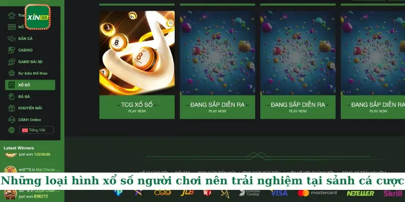 Xổ Số Xin88 3 Những loại hình xổ số người chơi nên trải nghiệm tại sảnh cá cược