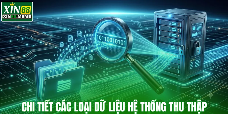Chi tiết các loại dữ liệu hệ thống thu thập